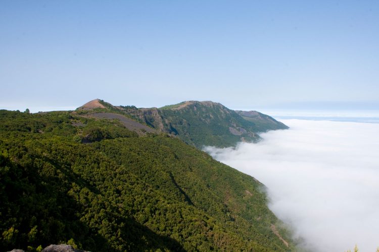 Cumbre-(bosque-laurisilva)